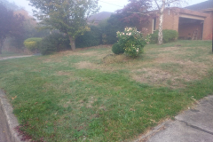 Chirnside-Park-B1