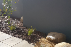 Tree-and-Rocks-CC