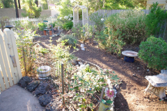 Before-Path-B3