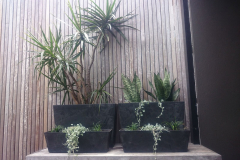 Rectangular-pots-Prahan